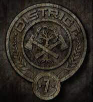 DISTRITO 7. Provee madera (y por tanto también papel) al Capitolio, y son conocidos por ser buenos con las hachas. Gracias al uso de hachas en su vida diaria, sus tributos tienen algo de preparación física para los juegos.