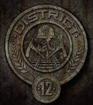 DISTRITO 12. El distrito más pobre de la nación de Panem. Localizado en las montañas, se especializa en la minería de carbón. Sus condiciones de vida son pésimas.